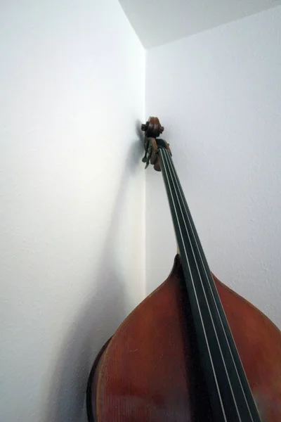 Violino Sobre Fundo Branco — Fotografia de Stock