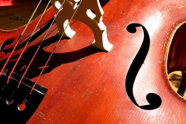 Close Violin — Stock Photo, Image