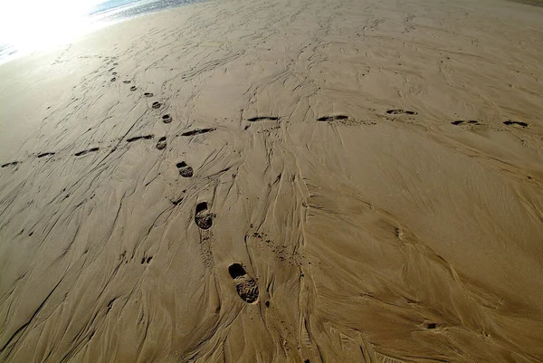砂の中の痕跡が — ストック写真