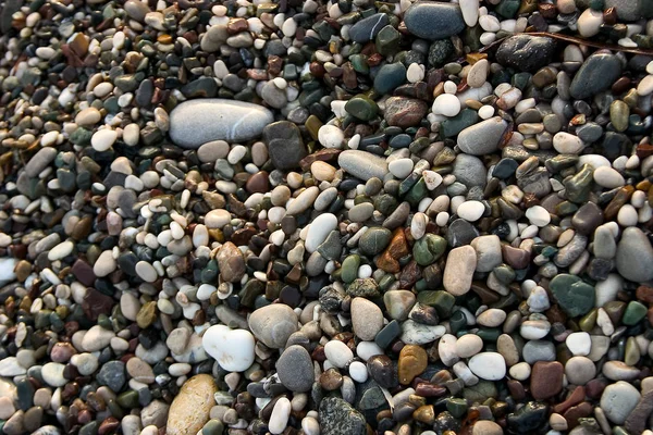 Pedras Pedras Seixos Fundo Rochoso — Fotografia de Stock