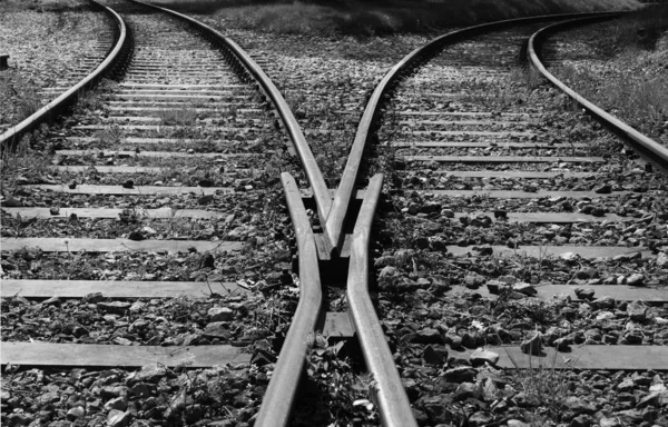 Trilhos Ferroviários Nevoeiro — Fotografia de Stock