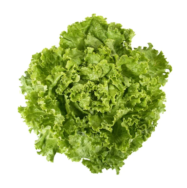 Frische Grüne Salatblätter — Stockfoto