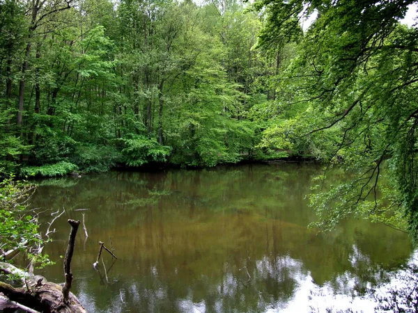 Beginn Des Letzten Jahrhunderts Wurden Diesem Abschnitt Zwei Wasserkraftwerke Gebaut — Stockfoto