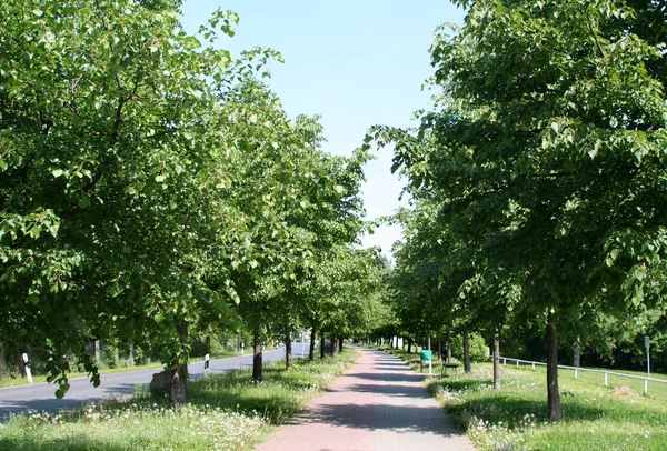 Schöne Aussicht Auf Die Natur — Stockfoto