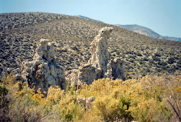 Malerischer Blick Auf Die Outdoor Szene — Stockfoto