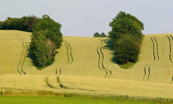 Prachtig Uitzicht Het Natuurlandschap — Stockfoto