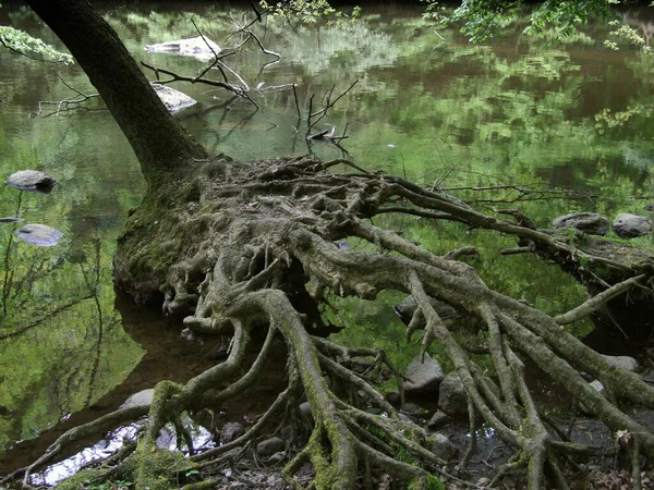 Prachtig Uitzicht Natuur — Stockfoto