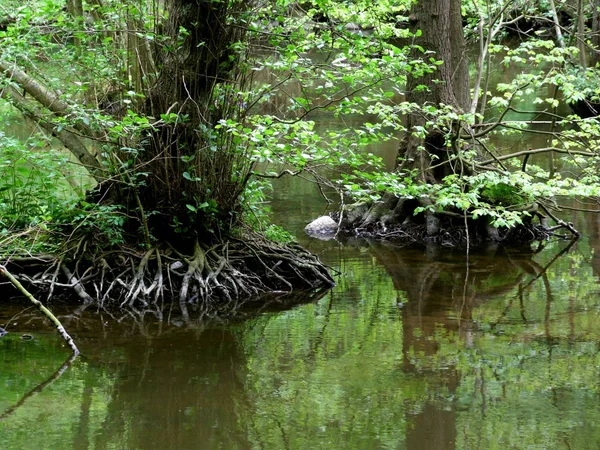 Schöne Aussicht Auf Die Natur — Stockfoto