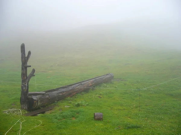 Alp Çayırlarındaki Sisli Iksirler — Stok fotoğraf