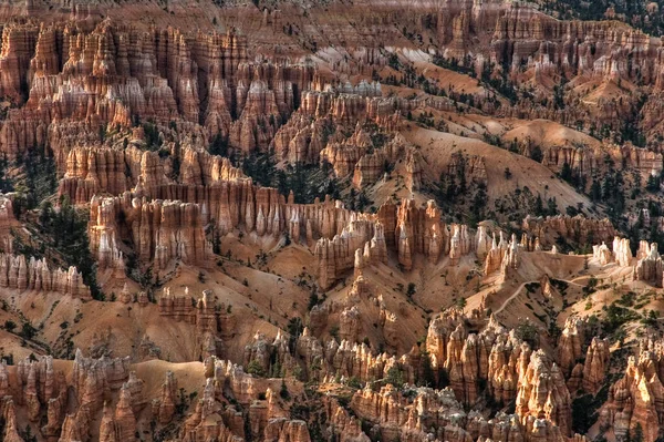 Bryce Mezi Sluncem Stínem — Stock fotografie