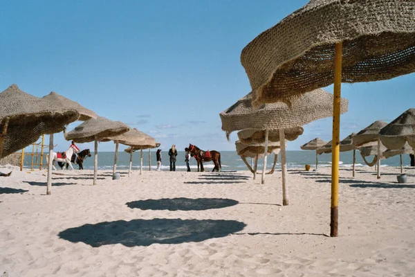 Ansichten Von Tunis — Stockfoto