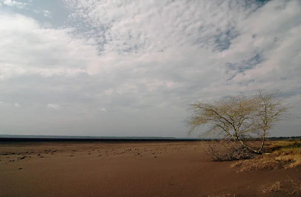 Hermosa Vista Del Paisaje Natural — Foto de Stock