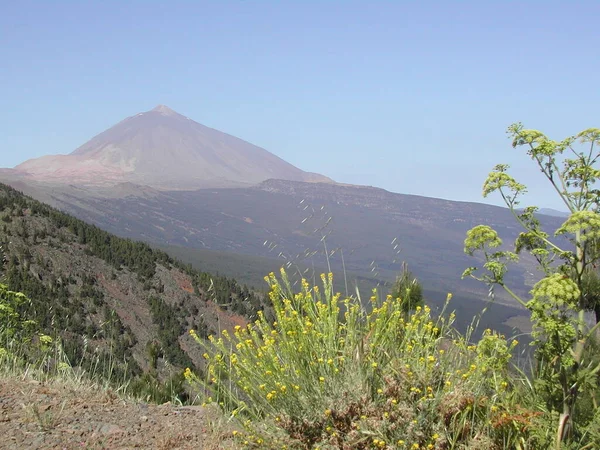 Monte Teide Tenerife Nas Ilhas Canárias Espanha — Fotografia de Stock