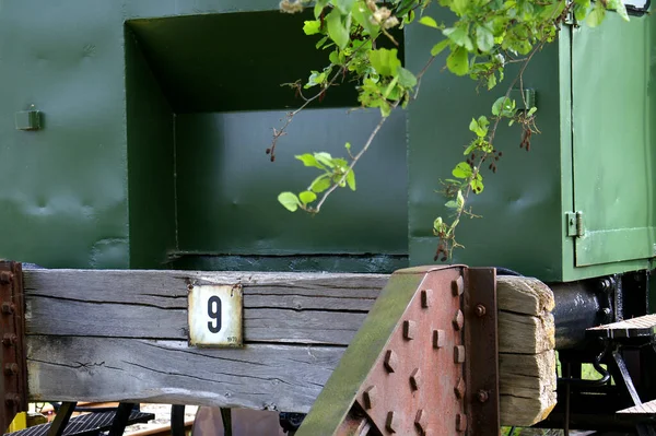 Oude Roestige Metalen Doos Met Groene Planten — Stockfoto