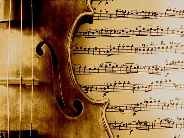 Скрипка Музыкальный Инструмент Крупный План — стоковое фото