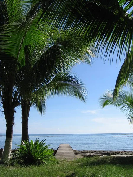 Costa Rica Puerto Viejo Plajı — Stok fotoğraf