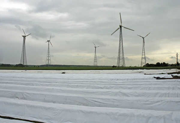 Turbina Eólica Energia Eólica — Fotografia de Stock