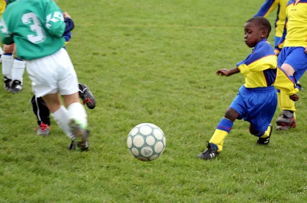 Die Jagd Nach Dem Ball — Stockfoto