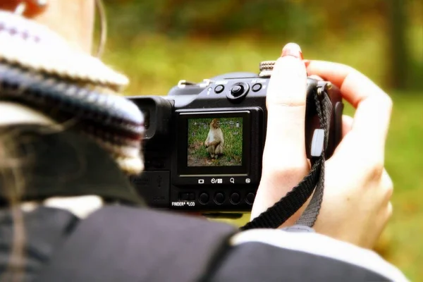 Fotógrafo Profesional Con Cámara — Foto de Stock