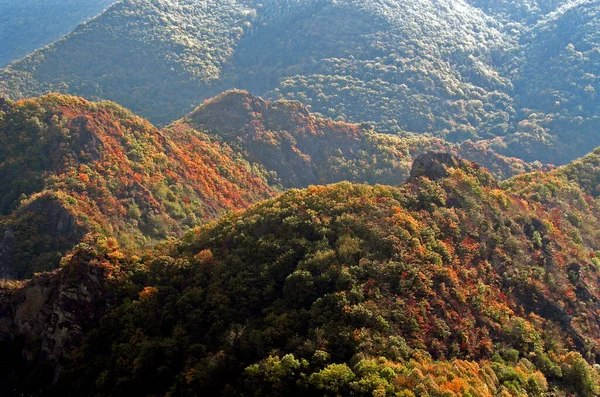 Eifel Almanya Nın Batısında Belçika Nın Doğusunda Yer Alan Bir — Stok fotoğraf