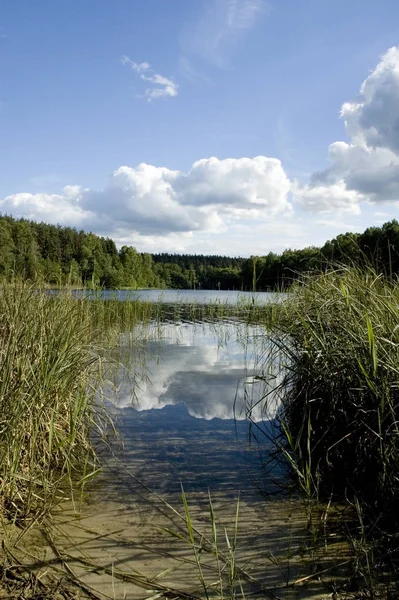 Piękny Widok Scenę Natury — Zdjęcie stockowe