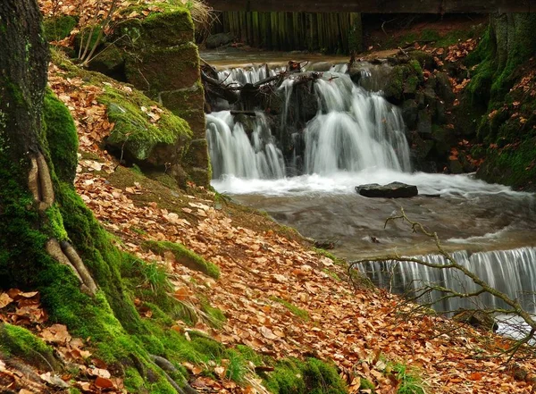 Toen Het Odenwald Wandelde Ontdekte Dit Beekje — Stockfoto