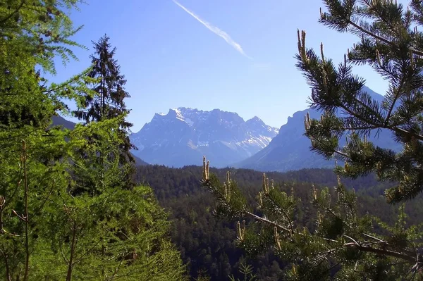 Parkoviště Zugzpitzblick Fernpass Rakousku — Stock fotografie