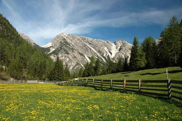 Naturaleza Tirol Del Sur —  Fotos de Stock