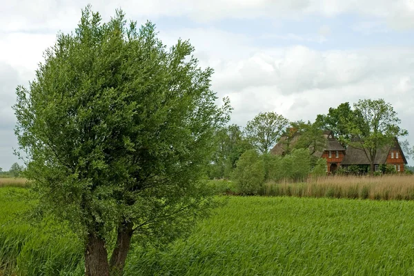 Piękny Widok Park — Zdjęcie stockowe