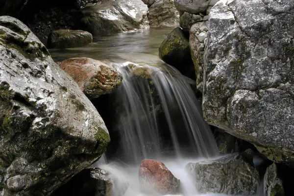Flora Natureza Cachoeira Fluxo Água — Fotografia de Stock