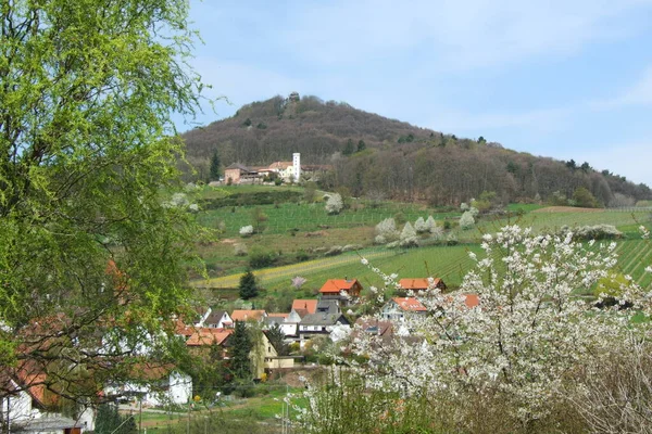 Bela Vista Paisagem Natureza — Fotografia de Stock