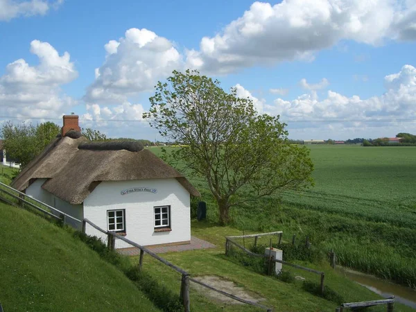 Aan Noordzeekust — Stockfoto