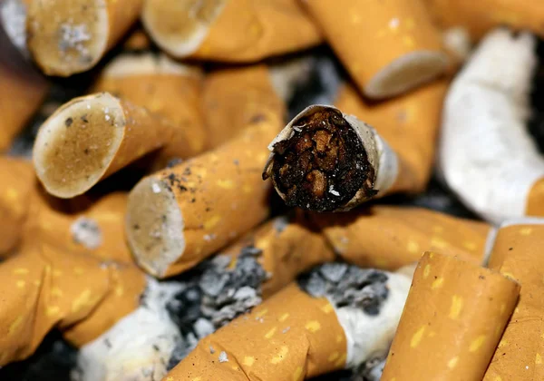 Eine Zigarette Ist Ein Typischer Tabak — Stockfoto