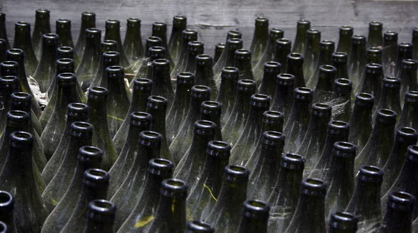 黒を基調とした列のワインボトル — ストック写真