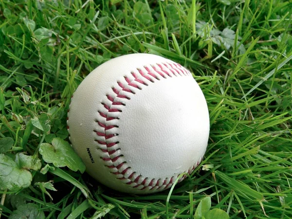 Baseball Piłka Zielonej Trawie — Zdjęcie stockowe