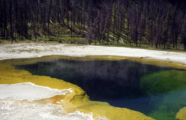 Parque Nacional Yellowstone Parque Nacional Los Estados Unidos Esto Convierte — Foto de Stock