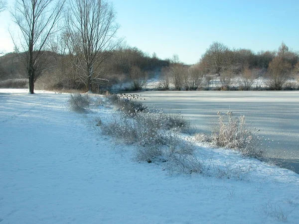 Vista Pitoresca Bela Paisagem Inverno — Fotografia de Stock