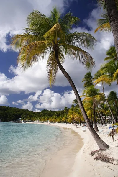 Vista Playa Caribeña Durante Día — Foto de Stock