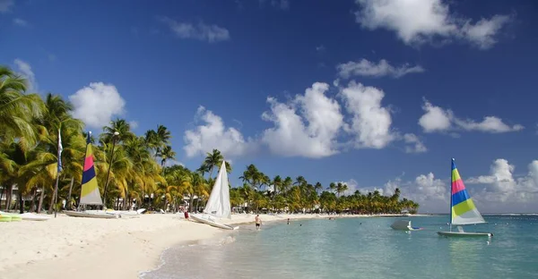 Caribisch Uitzicht Het Strand Overdag — Stockfoto