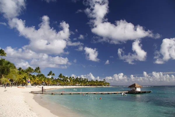 Caribisch Uitzicht Het Strand Overdag — Stockfoto