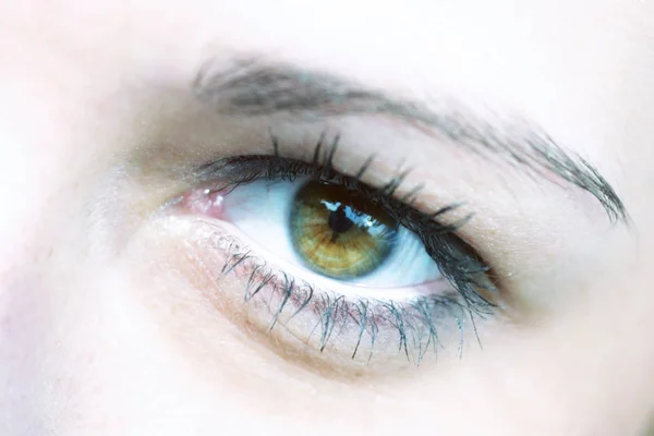 Primer Plano Del Ojo Una Mujer Con Ojos Verdes —  Fotos de Stock
