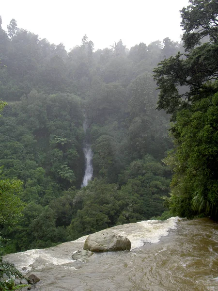 Nature Flora Waterfall Water Flow — Stock Photo, Image