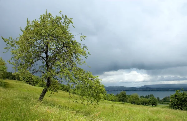 Belle Vue Sur Les Paysages Naturels — Photo