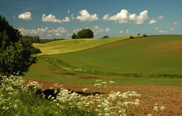 Vista Pittoresca Della Scena Della Natura — Foto Stock