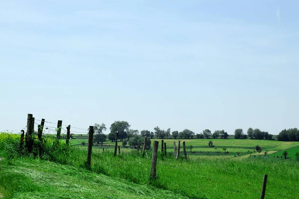 Łąkach Polach — Zdjęcie stockowe