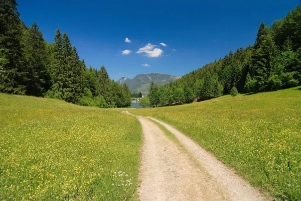 Beieren Mooie Land Gebied Van Duitsland — Stockfoto