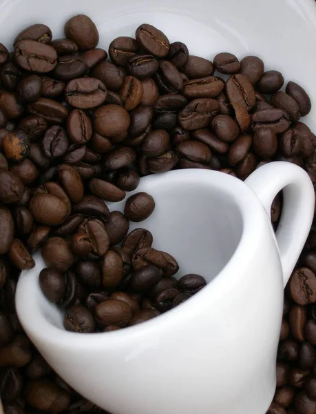 Kávová Zrna Kofein Aroma — Stock fotografie