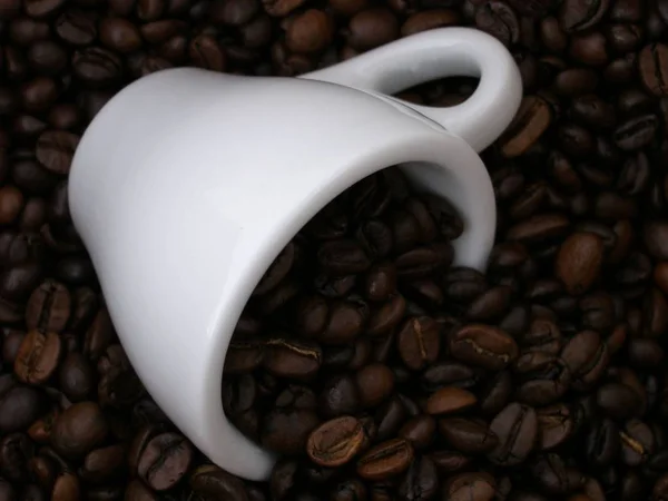 Kavrulmuş Kahverengi Kahve Çekirdekleri — Stok fotoğraf