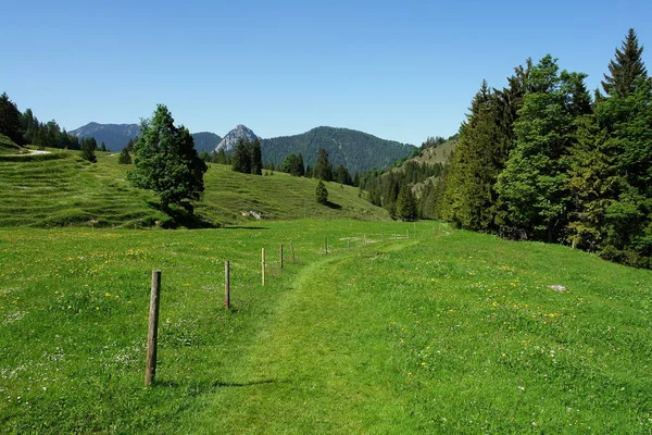 Vue Panoramique Sur Magnifique Paysage Alpin — Photo