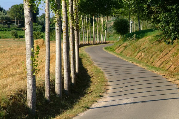 Malebný Pohled Avenue Selektivní Zaměření — Stock fotografie